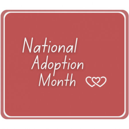 Support Adoption during National Adoption Month by Purchasing the Last Bottles of These Wines