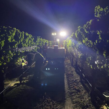 The Truth About the Proposed Sonoma County Wine Improvement District (WID)