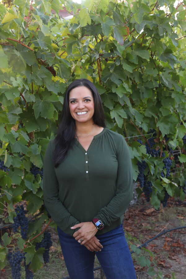 MORÉT’S HOLIDAY PINOT SHOWCASE — LIMITED & LEGENDARY